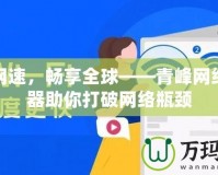 提升網速，暢享全球——青峰網絡加速器助你打破網絡瓶頸