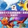 洛克王國格斗小五在哪里捕捉？探索捕捉攻略與技巧！