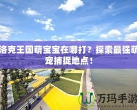 洛克王國萌寶寶在哪打？探索最強萌寵捕捉地點！