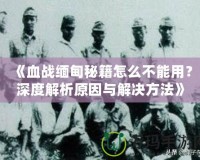 《血戰緬甸秘籍怎么不能用？深度解析原因與解決方法》