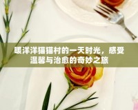 暖洋洋貓貓村的一天時(shí)光，感受溫馨與治愈的奇妙之旅