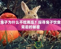兔子為什么不吃南瓜？探尋兔子飲食背后的秘密