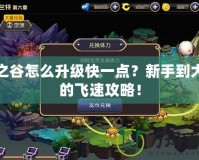 龍之谷怎么升級快一點(diǎn)？新手到大佬的飛速攻略！