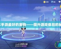 QQ飛車(chē)手游最好的寵物——提升游戲體驗(yàn)的秘密武器