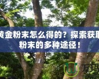 DNF黃金粉末怎么得的？探索獲取黃金粉末的多種途徑！