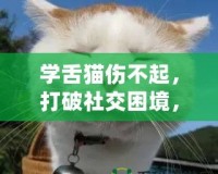 學舌貓傷不起，打破社交困境，找回自信與快樂！