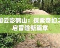 洛克王國云影鶴山：探索奇幻之地，開啟冒險新篇章