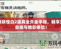 口袋妖怪白2道具全開金手指，暢享無限自由與精彩體驗！