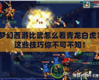 夢幻西游比武怎么看青龍白虎？這些技巧你不可不知！