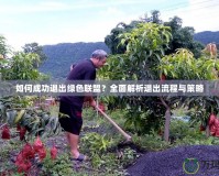 如何成功退出綠色聯盟？全面解析退出流程與策略