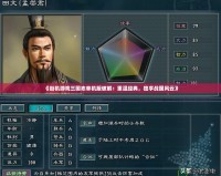 《街機(jī)游戲三國志單機(jī)版破解：重溫經(jīng)典，獨(dú)享戰(zhàn)國風(fēng)云》