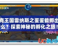 洛克王國雷納斯之蛋蛋能孵出什么？探索神秘的孵化之旅！