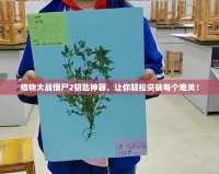 植物大戰(zhàn)僵尸2鑰匙神器，讓你輕松突破每個難關(guān)！