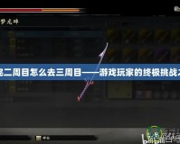 打完二周目怎么去三周目——游戲玩家的終極挑戰之路