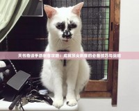 天書奇談手游刺客攻略：成就頂尖刺客的必備技巧與戰略