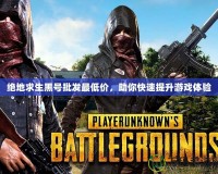 絕地求生黑號(hào)批發(fā)最低價(jià)，助你快速提升游戲體驗(yàn)