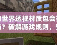 我的世界透視材質包會被發現嗎？破解游戲規則，安全使用攻略