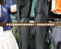 洛克王國寵物的裝備在哪里打？探索最佳獲取途徑！