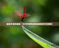 探索天空的奧秘！飛行手游帶你體驗(yàn)極致的天空冒險(xiǎn)！
