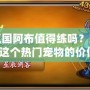 洛克王國阿布值得練嗎？深度解析這個熱門寵物的價值！