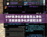 DNF未凈化的裝備怎么凈化？詳解裝備凈化步驟和注意事項