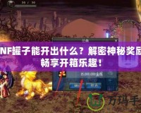 DNF罐子能開出什么？解密神秘獎勵，暢享開箱樂趣！