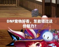 DNF寵物好看，怎能錯過這份魅力？