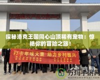 探秘洛克王國同心山頂稀有寵物：驚艷你的冒險之旅！