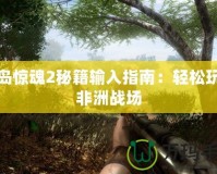 孤島驚魂2秘籍輸入指南：輕松玩轉非洲戰場