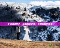 夢幻網游世界：暢游奇幻之境，探尋未知的奇跡