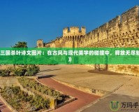 《三國殺葉詩文圖片：在古風與現代美學的碰撞中，釋放無盡魅力》