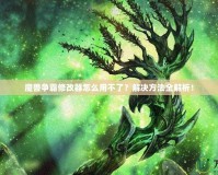 魔獸爭霸修改器怎么用不了？解決方法全解析！