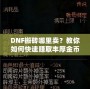 DNF搬磚哪里賣？教你如何快速賺取豐厚金幣，輕松變身游戲大佬！