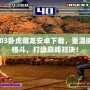 拳皇2003臥虎藏龍安卓下載，重溫街機經典格斗，打造巔峰對決！