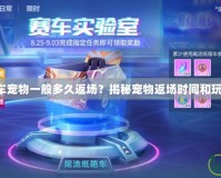 QQ飛車寵物一般多久返場？揭秘寵物返場時間和玩法技巧
