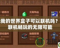 多玩我的世界盒子可以聯機嗎？探索聯機暢玩的無限可能
