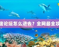 夢幻海底論壇怎么進去？全網最全攻略揭秘