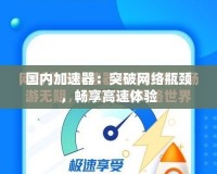 國(guó)內(nèi)加速器：突破網(wǎng)絡(luò)瓶頸，暢享高速體驗(yàn)