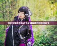 劍網(wǎng)三定國(guó)套叫什么？揭秘定國(guó)套的獨(dú)特魅力與價(jià)值