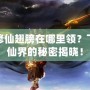 夢幻修仙翅膀在哪里領？飛翔于仙界的秘密揭曉！
