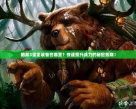 暗黑3鑒定裝備在哪里？快速提升戰(zhàn)力的秘密揭曉！