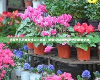 戀愛手機游戲女性向中文版，沉浸式體驗愛情世界的最佳選擇