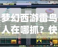 夢幻西游雷鳥人在哪抓？快速獲取雷鳥人全攻略