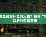 灰燼之靈為什么叫火貓？探索“火貓”背后的深層寓意
