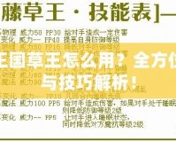洛克王國(guó)草王怎么用？全方位攻略與技巧解析！