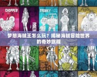 夢想海賊王怎么玩？揭秘海賊冒險世界的奇妙旅程