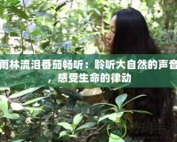 雨林流淚番茄暢聽：聆聽大自然的聲音，感受生命的律動