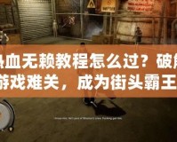 熱血無賴教程怎么過？破解游戲難關(guān)，成為街頭霸王！