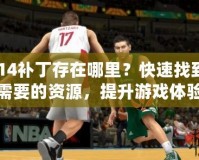 2K14補丁存在哪里？快速找到你需要的資源，提升游戲體驗