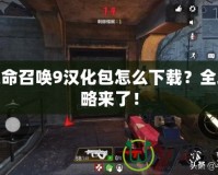 使命召喚9漢化包怎么下載？全攻略來了！